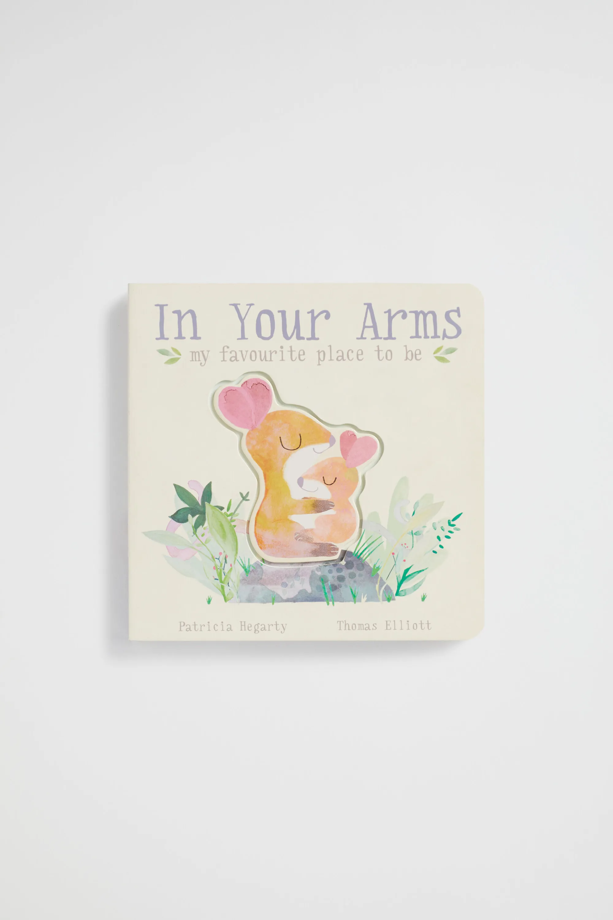 Baby Boy Seed Heritage Books-In Your Arms Book