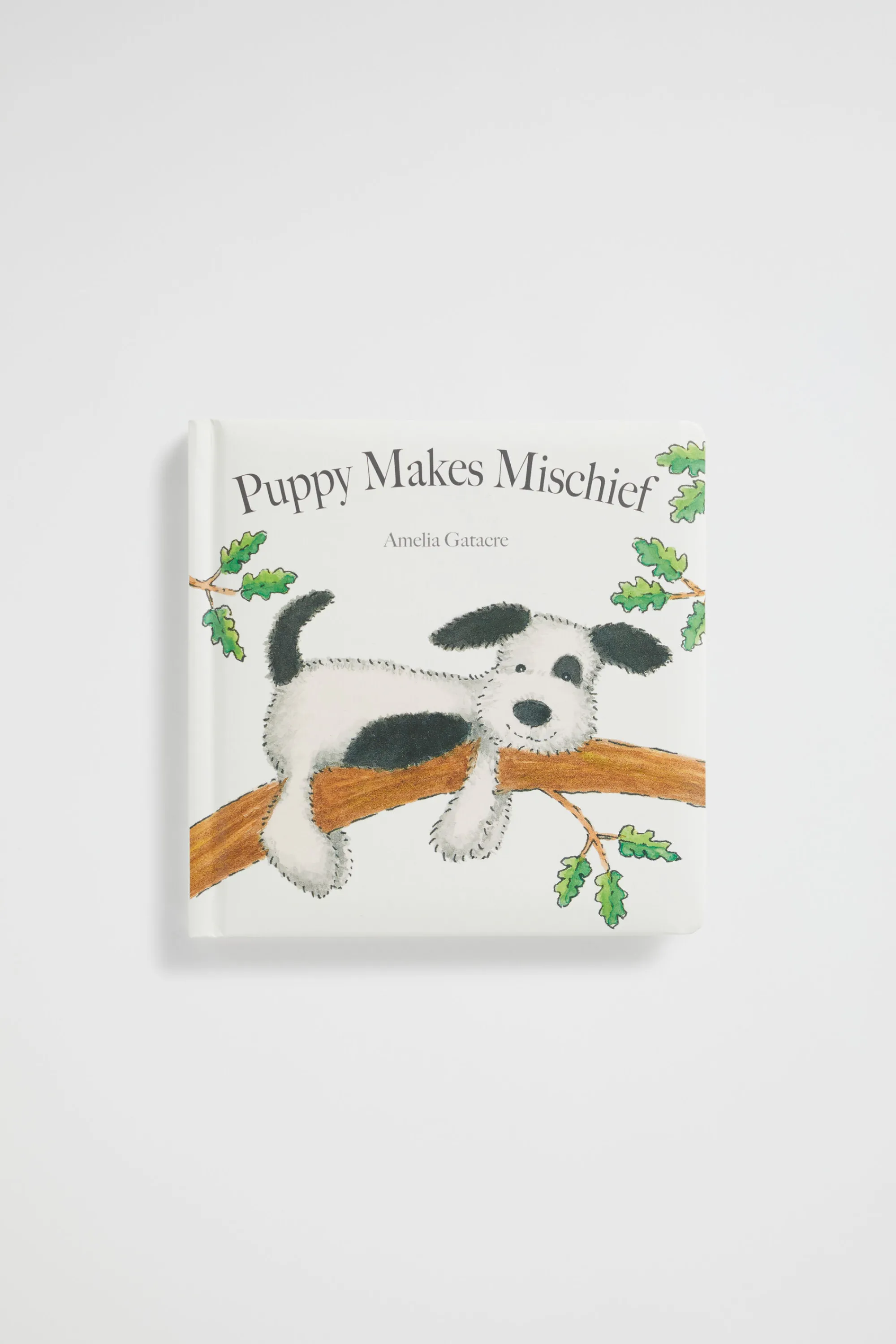 Baby Boy Seed Heritage Books-Jc Puppy Makes Mischief Book